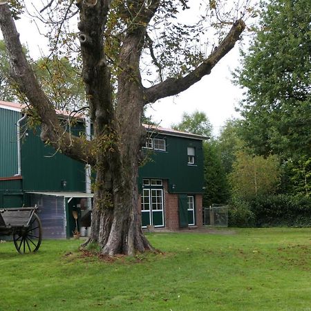 Ferienwohnung Weideglueck Osten Exterior foto